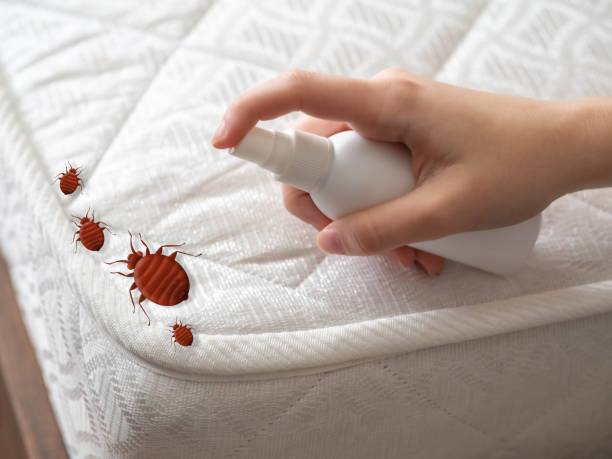 Best Indoor Pest Control  in Iselin, NJ